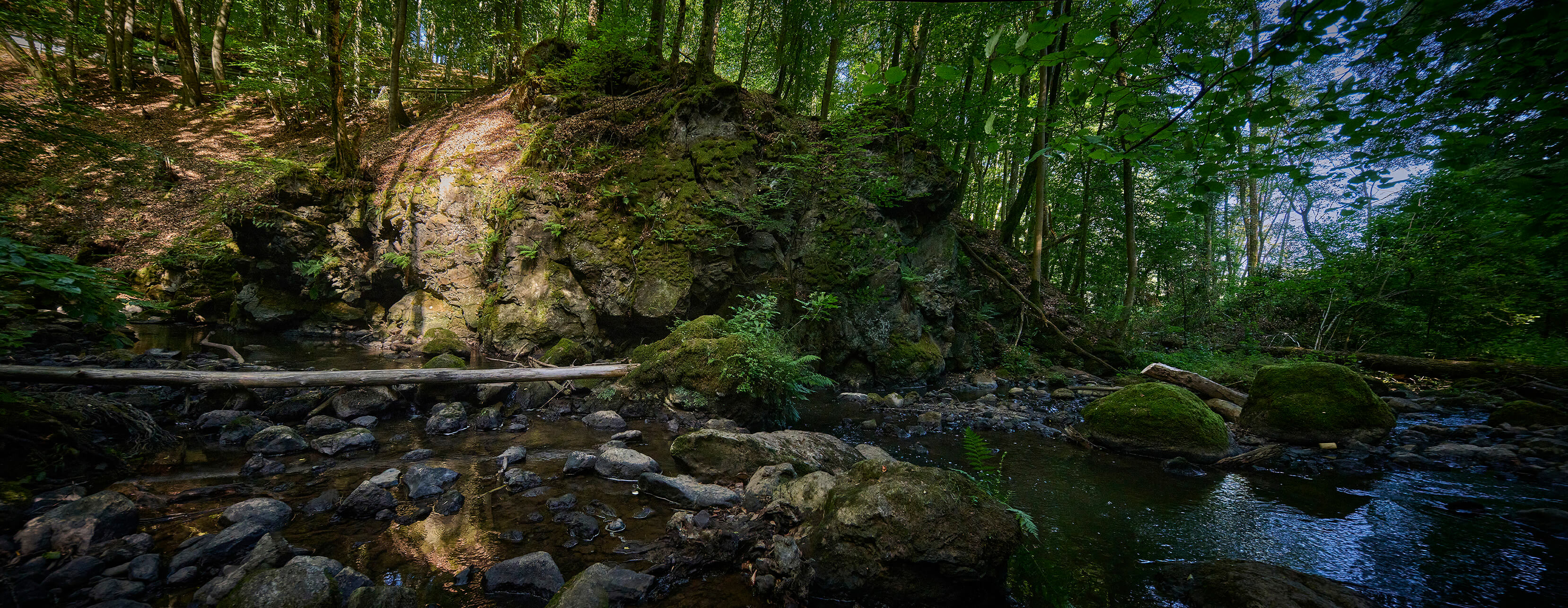 Felsiges Bachtal inmitten des Waldes bei Strohn in der Vulkaneifel
