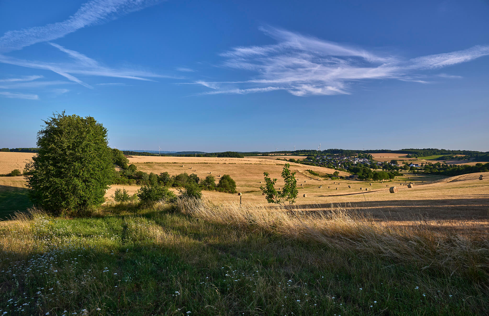Sommerliche Landschaft mit Feldern und Blick auf Strohn in der Vulkaneifel