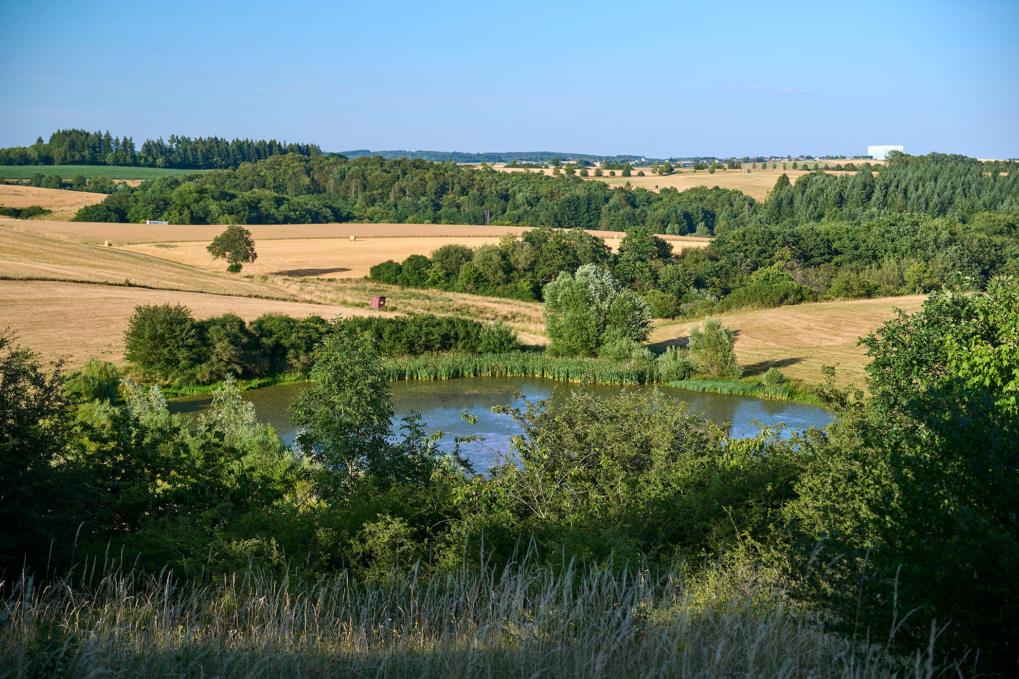 Blick über einen Weiher und die weite Landschaft rund um Strohn in der Vulkaneifel